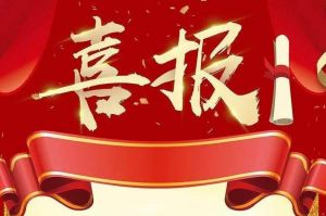 关于2022年度人力资源服务评选结果的通报，祝贺MK体育网（中国）集团
